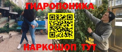 мяу мяу мука Бугуруслан