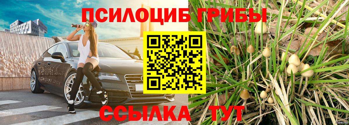 Псилоцибиновые грибы мицелий  Галлюциногенные грибы Magic Shrooms  Вход с VPN  Муром 