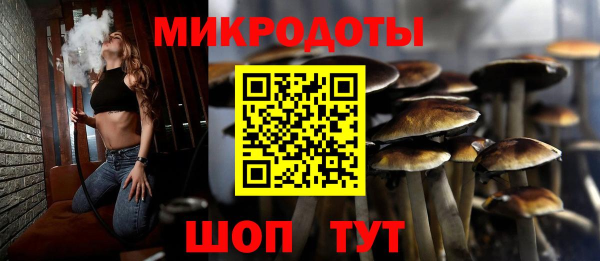 Галлюциногенные грибы Cubensis Муром